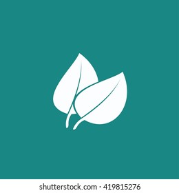 leaf vector icon