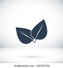	leaf vector icon