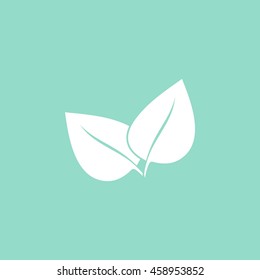 	leaf vector icon