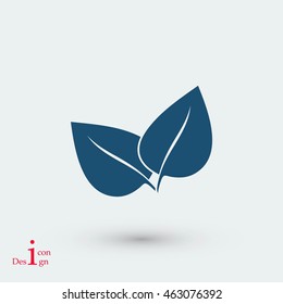 	leaf vector icon