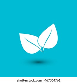 	leaf vector icon