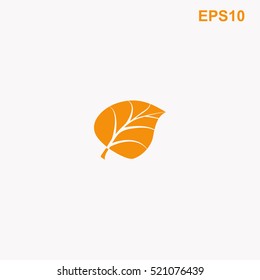 Leaf vector icon