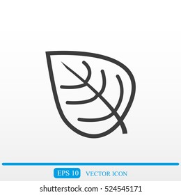 Leaf  vector icon