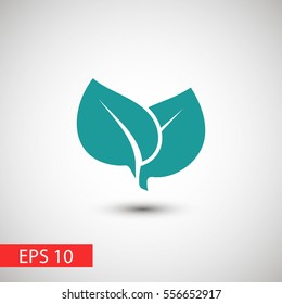 leaf vector icon