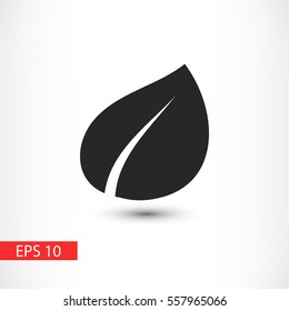 leaf vector icon