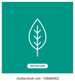 leaf vector icon