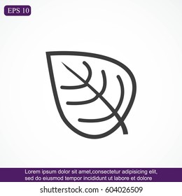 Leaf  vector icon