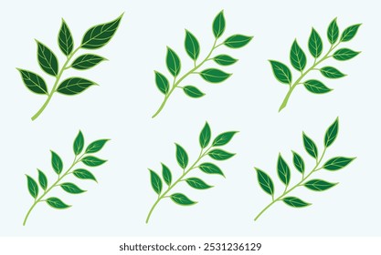 leaf vector icon clipart illustration