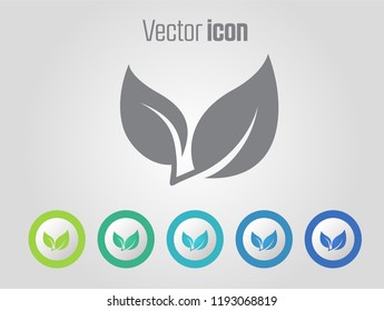 Leaf vector icon and Different color variations