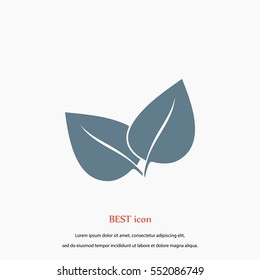 leaf vector icon, flat design best vector icon