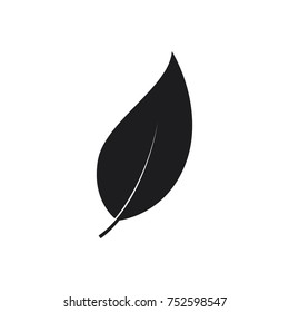 leaf vector icon in flat design