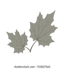 leaf vector icon in flat design