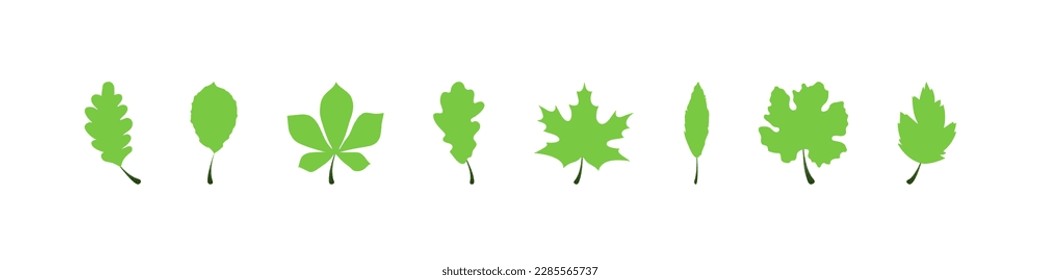 Leaf vector icon. Green leaves different trees. Leaf. Vector illustration