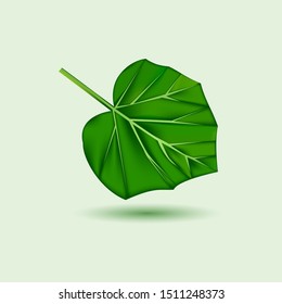 Leaf vector icon. Green pumpkin leaf