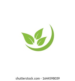 Icono de vector hoja Plantilla de diseño de ilustración