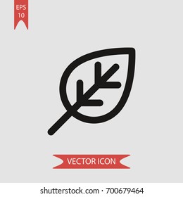 Leaf vector icon illustration symbol