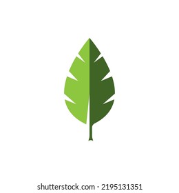 leaf vector icon illustration template design