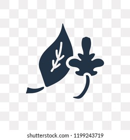 Leaf vector icon isolated on transparent background, Leaf transparency concept can be used web and mobile