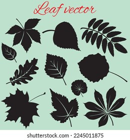 Blatt-Vektorsymbol. Blätter Silhouetten. Reihe von Baumzweigen. 