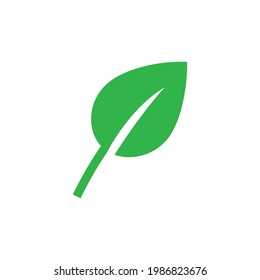 leaf vector icon on white background