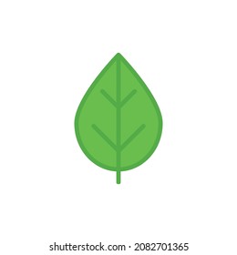 Leaf vector icon on white background