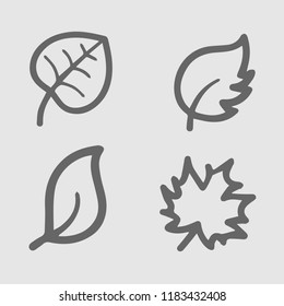 Leaf vector icon set. Autmn elements. Simple isolated illustration.