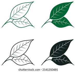Leaf vector icon set in green and black. White isolated background.
Collection of Abstract leaf illustration in different designs.