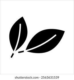 Leaf vector icons. Eco leaf logo on white background