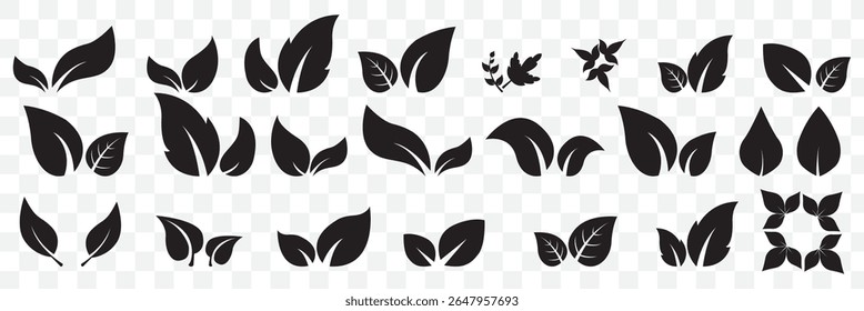 Leaf vector icons. Eco leaf logo. Simple linear leaves of trees and plants. Elements for eco friendly and bio logo, vegan. Black leaves collection. Ecology leaf element on Transparent Background.EPS10