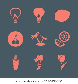 leaf vector icons set. with black currant berry, tulip, bulb leaf and corn in set