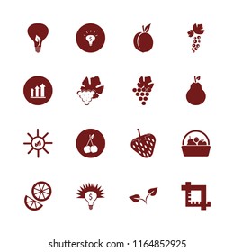 leaf vector icons set. with black currant berry, money ideas, pear and cherry in set