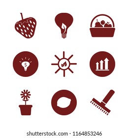 leaf vector icons set. with flower pot, lemon, bulb leaf and money ideas in set