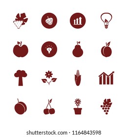 leaf vector icons set. with grape, flower pot, pear and money ideas in set