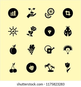 leaf vector icons set. with money ideas, peach, sun leaves and orange in set