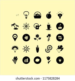 leaf vector icons set. with palm trees, growing graph, money ideas and grape in set