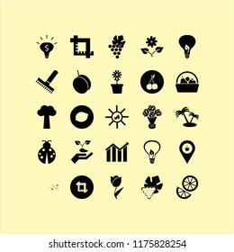 leaf vector icons set. with tulip, flower pot, ladybug and basket apple apricot pear in set