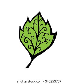 Leaf vector illustration