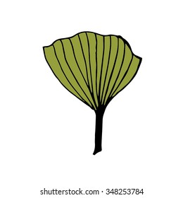 Leaf vector illustration