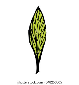Leaf vector illustration