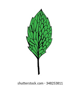 Leaf vector illustration