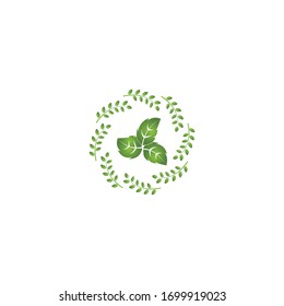 leaf vector illustration design icon logo template