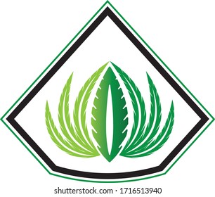 leaf vector illustration design icon logo template
