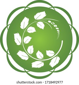 leaf vector illustration design icon logo template