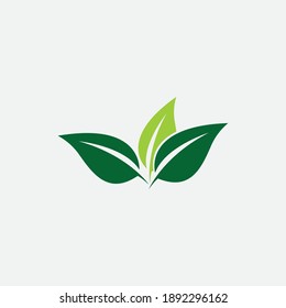 leaf vector illustration design icon logo template