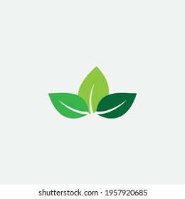 leaf vector illustration design icon logo template