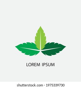 leaf vector illustration design icon logo template