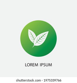 leaf vector illustration design icon logo template