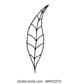 Leaf vector illustration. Doodle style. Design icon, print, logo, poster, symbol, decor, textile, paper, card. 