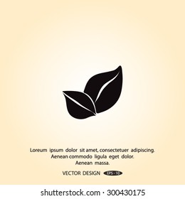 leaf Vector illustration. Eco sign.