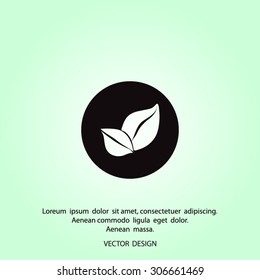 leaf Vector illustration. Eco sign.